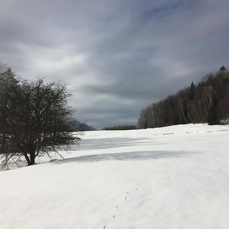Pokoje Goscinne Vida Krynica-Zdrój Exteriér fotografie