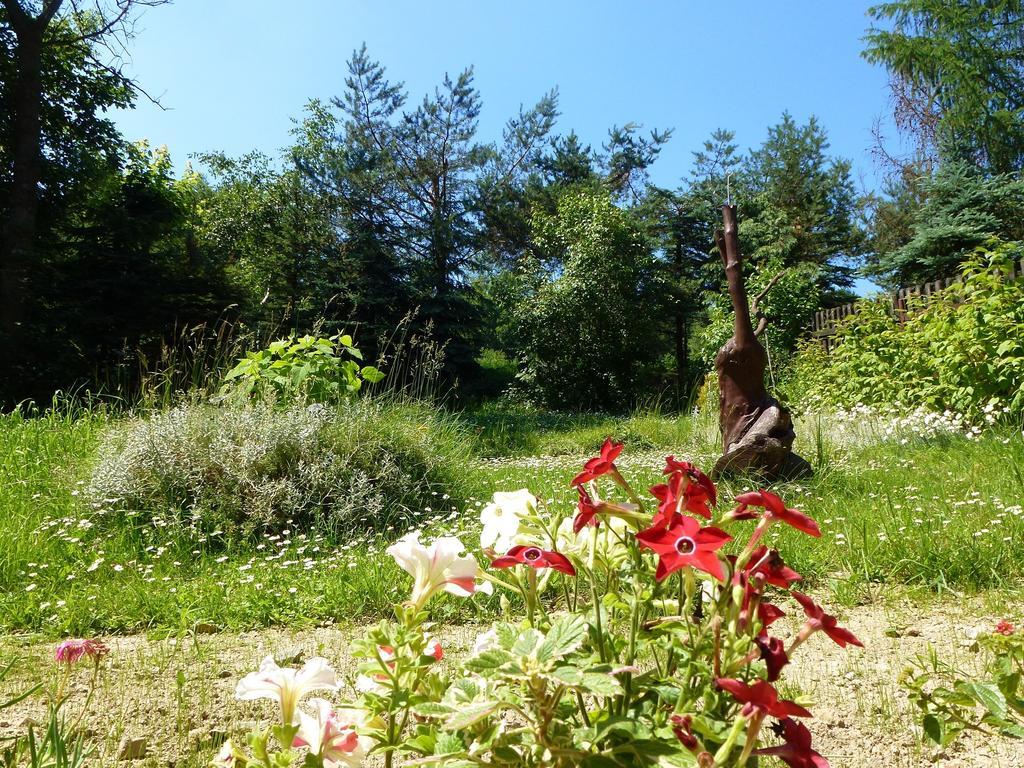 Pokoje Goscinne Vida Krynica-Zdrój Exteriér fotografie